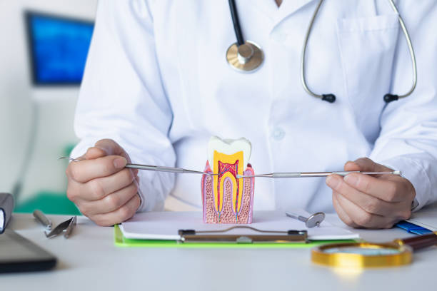 Best Emergency Treatment for Toothache in Kearny, AZ